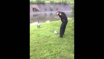 Mother Goose Is Thankful for Police