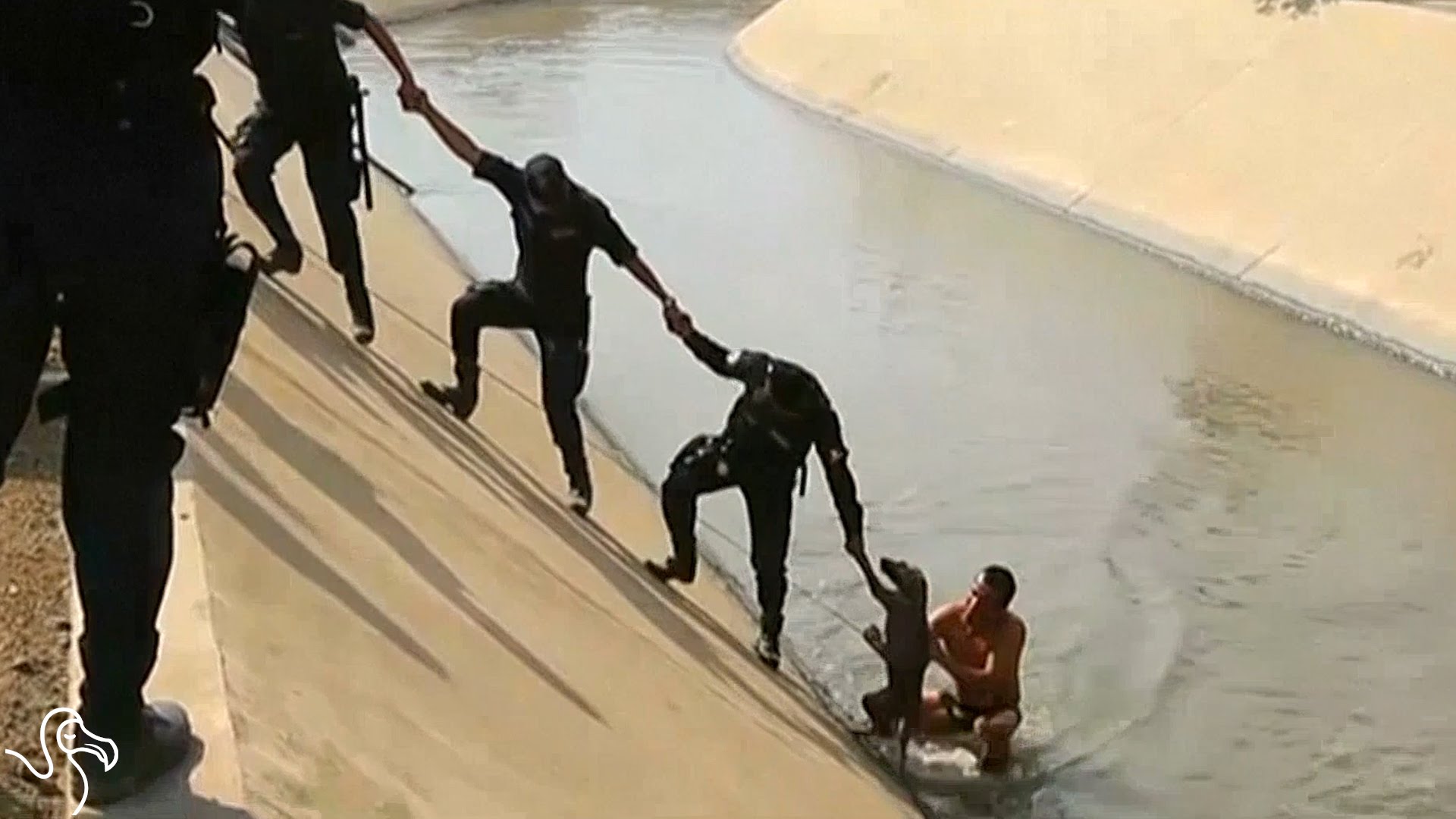Cops Form Human Chain To Save Stranded Dog 1funny Com