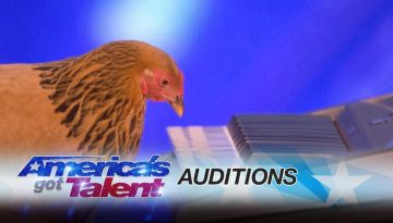 Chicken Plays America the Beautiful on Piano