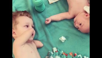 Little Boy Gives Baby Brother Pacifier