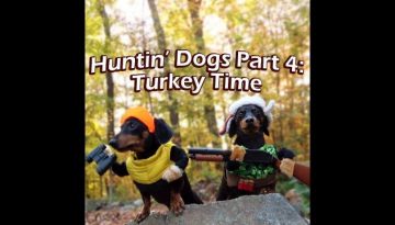 Crusoe-Oakley-the-Huntin-Dogs-Turkey-Time