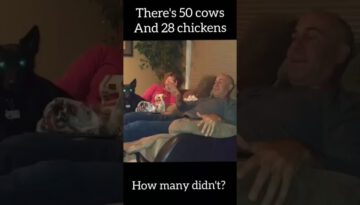 There’s 50 Cows and 28 Chickens…
