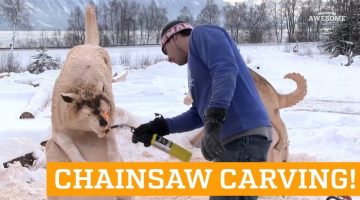 Beautiful Chainsaw Carvings