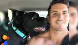 Talking Dog’s Unique Barks Helps Him Get Adopted