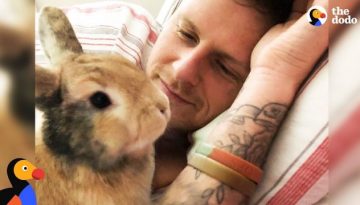 Amazing Rabbit Changes Man’s Mind About Animals