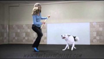 Boogie Shoes Canine Freestyle Routine