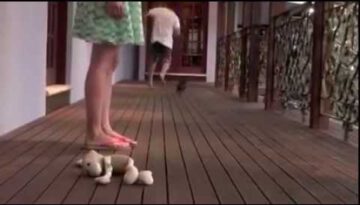 Cute Tiny Puppy Protects Owner