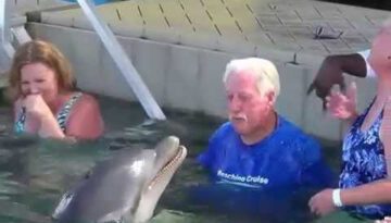 Dolphin Encounter