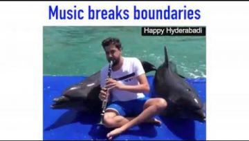 Dolphins and Elephants Love Music