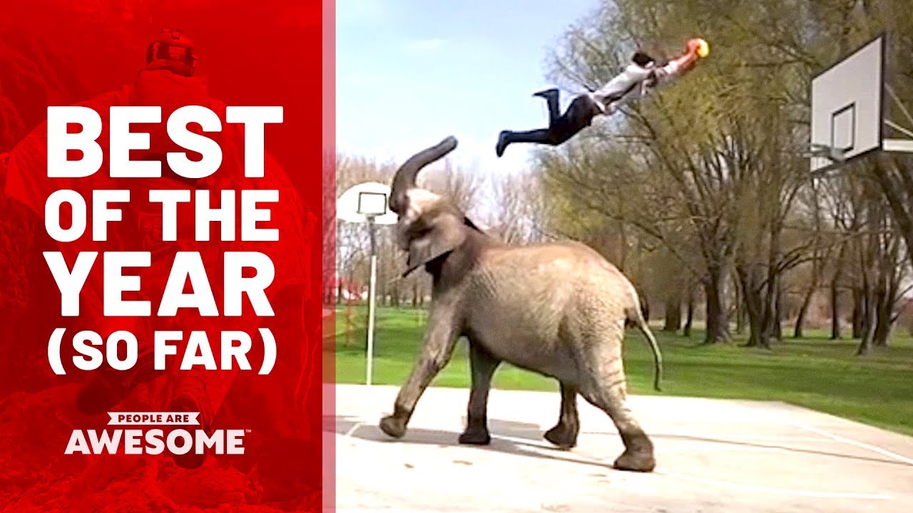 People are Awesome - Best Videos of the Year. Download, share