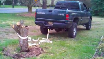 Trucks vs. Tree Stumps