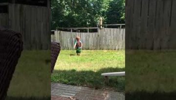 Adorable Toddler Plays Fetch With Dog Despite Backyard Fence