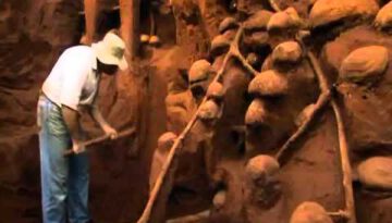 Giant Ant Hill Excavated