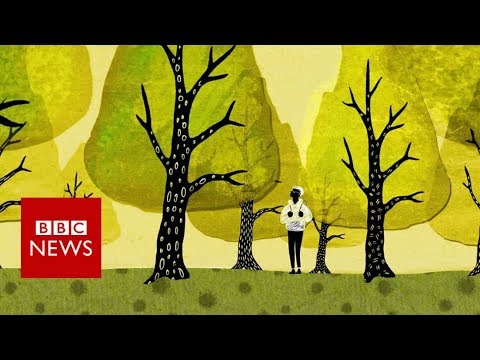 how trees secretly talk to each other