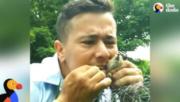 Mailman Rescues Trapped Chipmunk