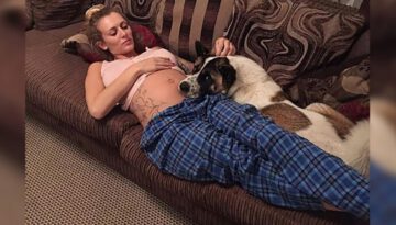 Dog Warns Pregnant Woman of Complications