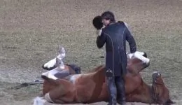 Funniest Horse Act Ever!