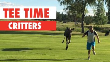 Tee Time Critters