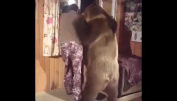 Big Bear Hug by the Window