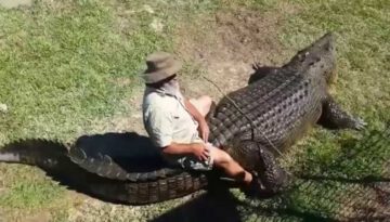 Crazy Aussie Riding a Huge Saltwater Crocodile