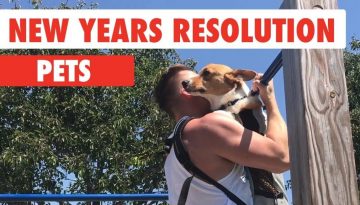 New Years Resolutions Pets