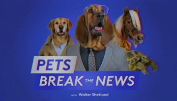 Pets Break The News – Holiday Smells