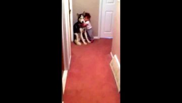 Baby Scared of Vacuum Runs to Dog for Protection