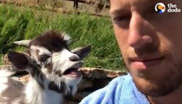 Goat And His Dad Have A Very Important Conversation