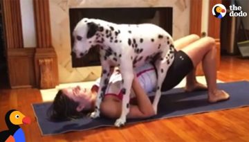 Dog Yoga: Pup Is Really Happy To Be In His Mom’s Yoga Workout