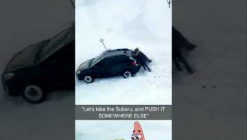 Stuck Vehicles in Rochester, MN Blizzard