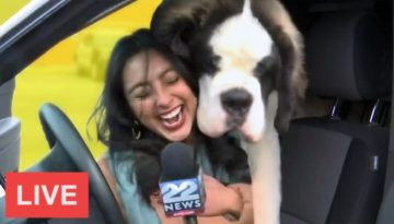 Best News Bloopers March 2019