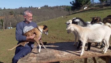 Two Legged Boxer Duncan Lou Who Visits a Farm!