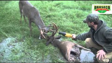 Broseco Ranch Locked Up Bucks