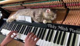 Piano Boogie Woogie Cat Massage