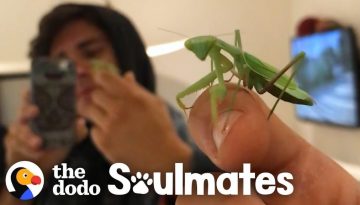 Man and Praying Mantis Become Best Friends