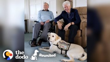 Former President’s Service Dog Is SO Excited To See His Mom