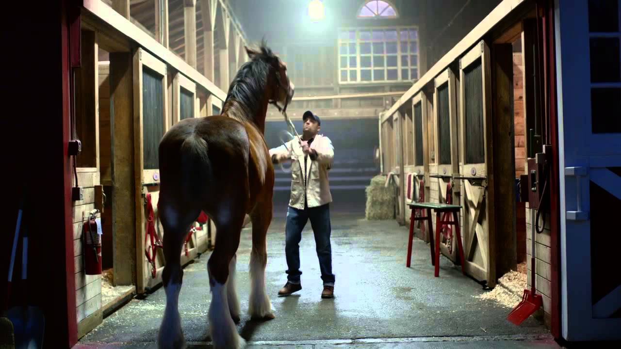 2015 Budweiser Super Bowl Commercial – Lost Dog – 1Funny.com