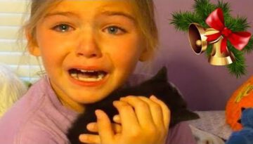 Kids Reactions to Kitten & Puppy Surprise on Christmas