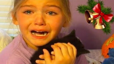 Kids Reactions to Kitten & Puppy Surprise on Christmas