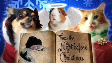 Pets Read Twas The Night Before Christmas