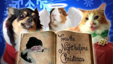 Pets Read Twas The Night Before Christmas