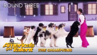 11 Year Old Alexa & Her 8 Dogs