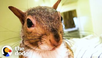 This Rescued Squirrel Is The Ultimate Diva