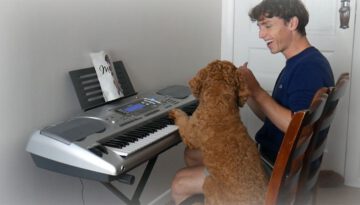 I Taught My Dog to Play the Piano