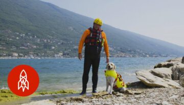 Meet Italy’s Lifeguard Dogs