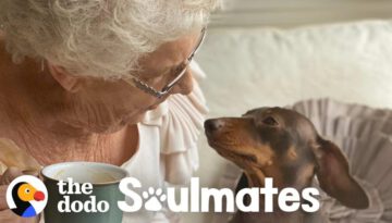 84-Year-Old Lady Is Best Friends With This Pup