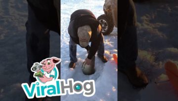Man Makes Huge Catch While Ice Fishing