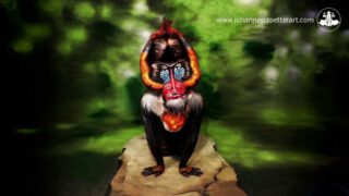 The Mandrill Illusion