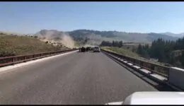 Bison Stampede on Yellowstone Bridge