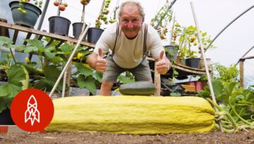 This Gardener Regularly Grows 100-Pound Vegetables